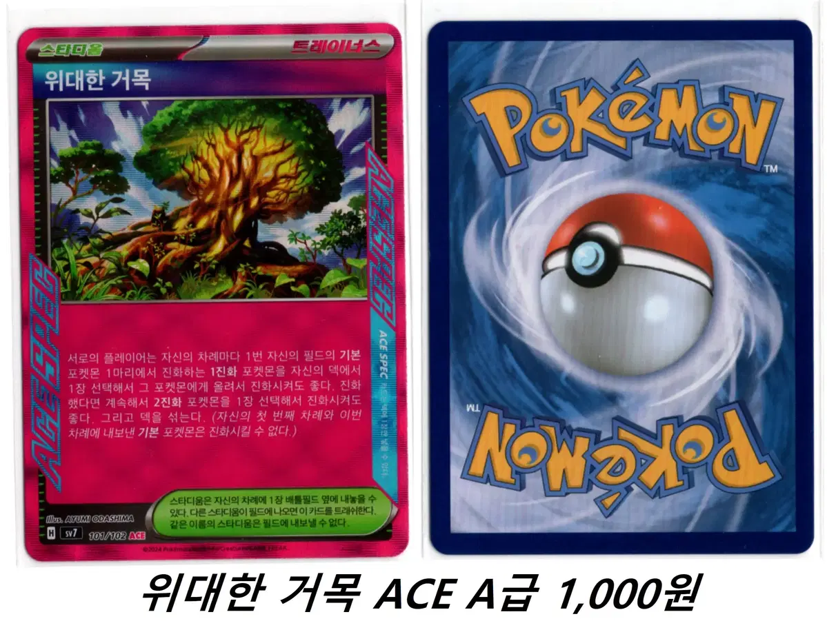 포켓몬카드 위대한 거목 ACE