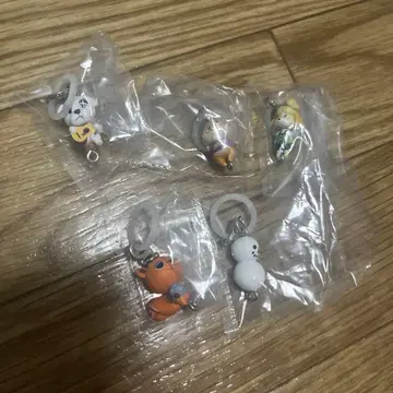 모여봐요 동물의 숲 이어지는 참 5개 세트