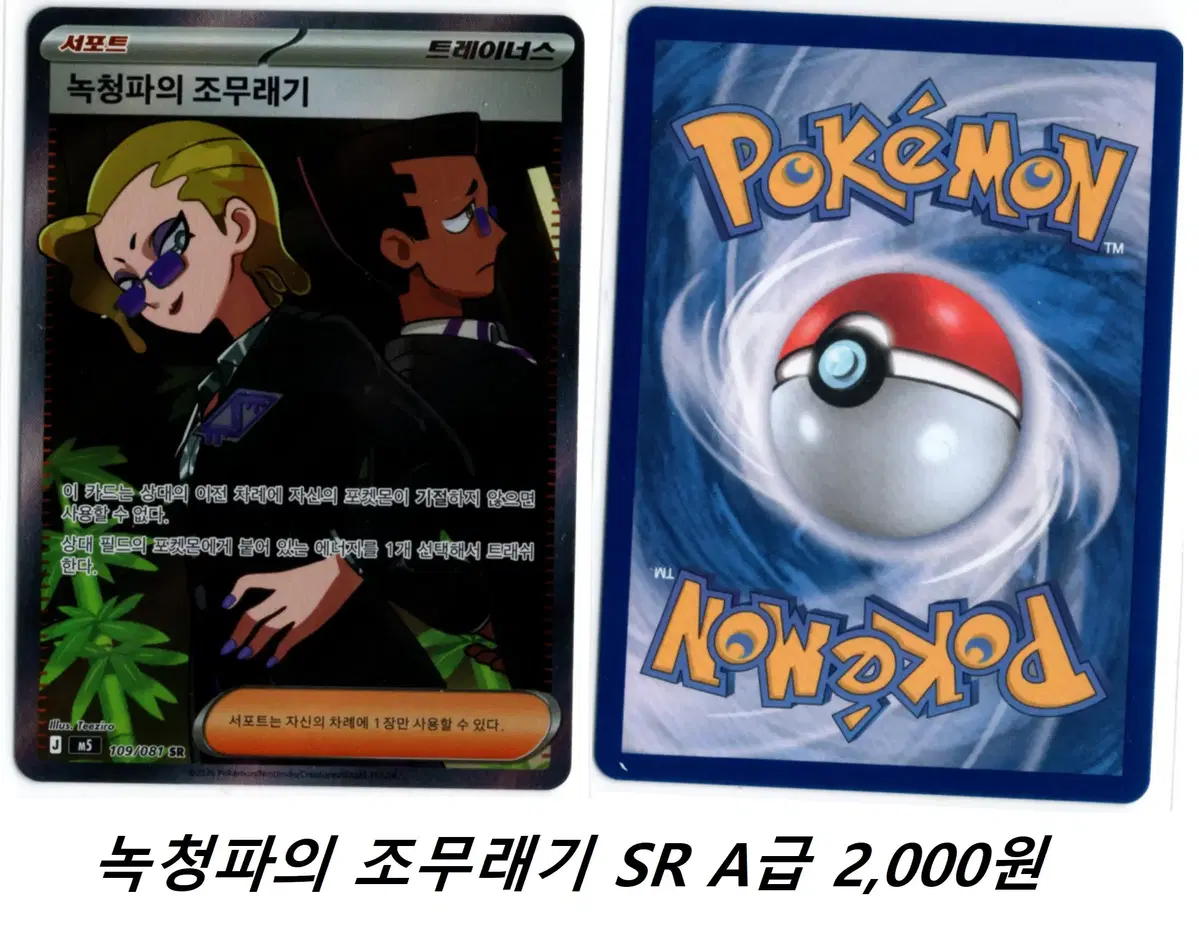 포켓몬카드 녹청파의 조무래기 SR