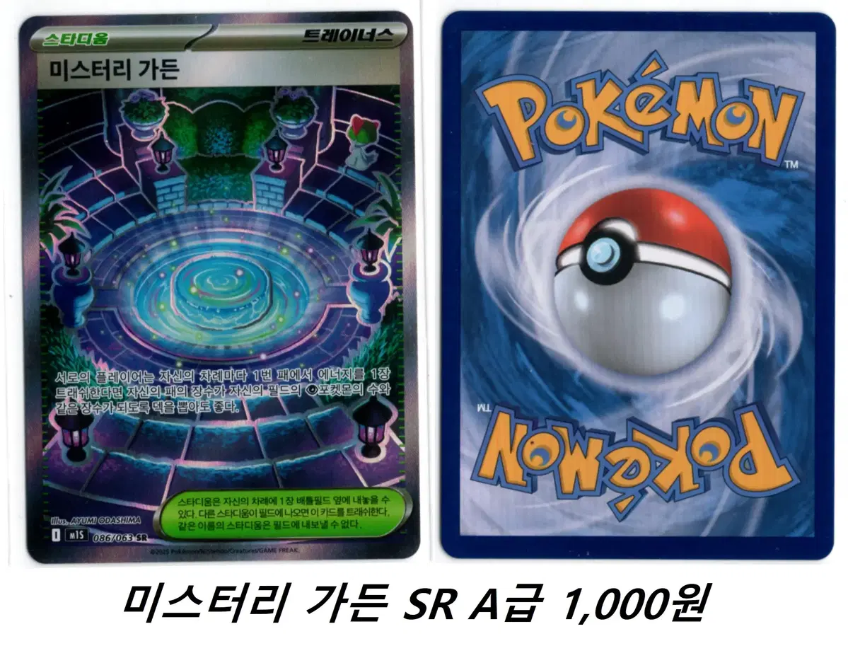 포켓몬카드 미스터리 가든 SR