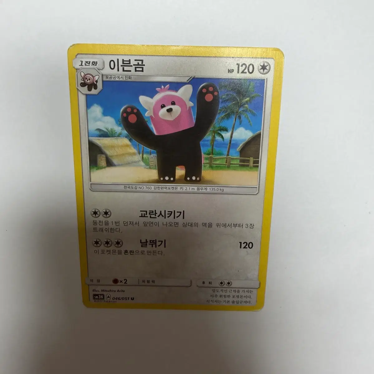 이븐곰 포켓몬카드