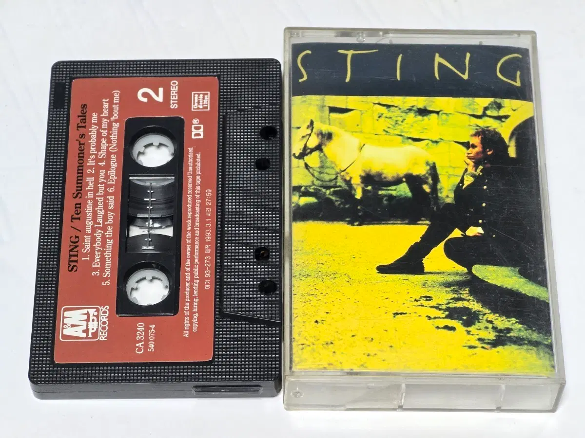 스팅 (Sting) - Ten Summoner's Tales (1993)