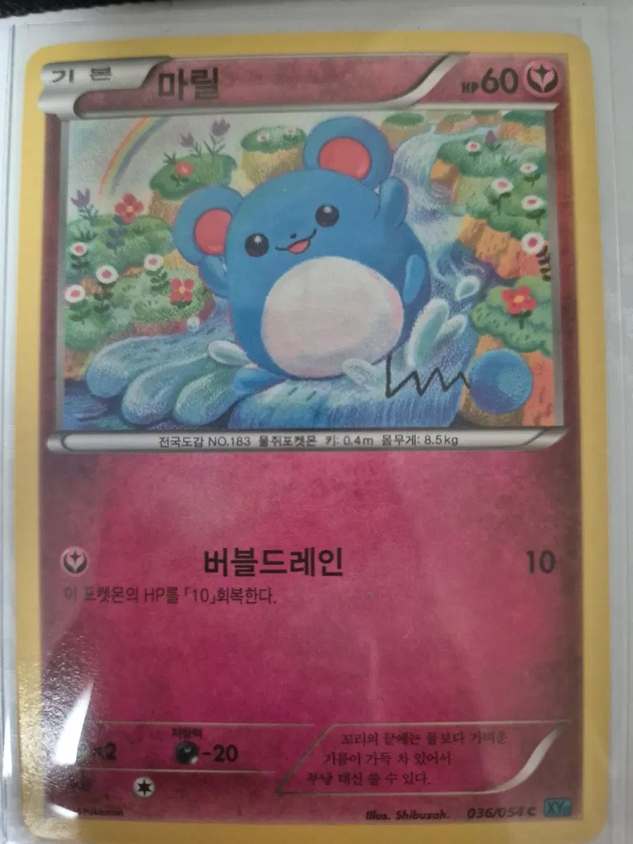 포켓몬 카드 마릴