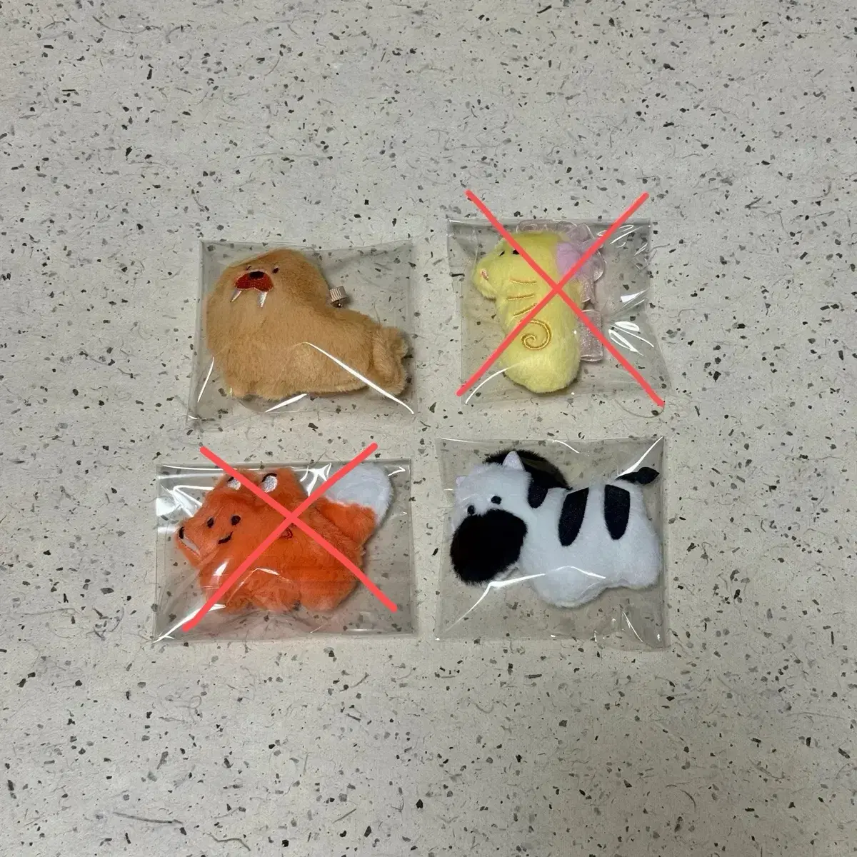 육지동물 해양동물 마그넷키링 바다코끼리 해마 여우 얼룩말