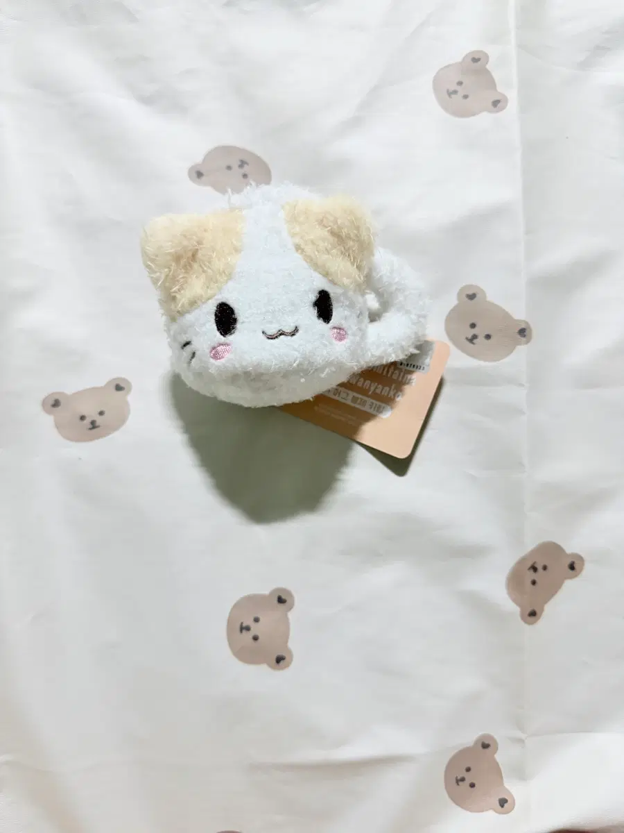산리오 후와후와 냥코 머그컵 인형 키링