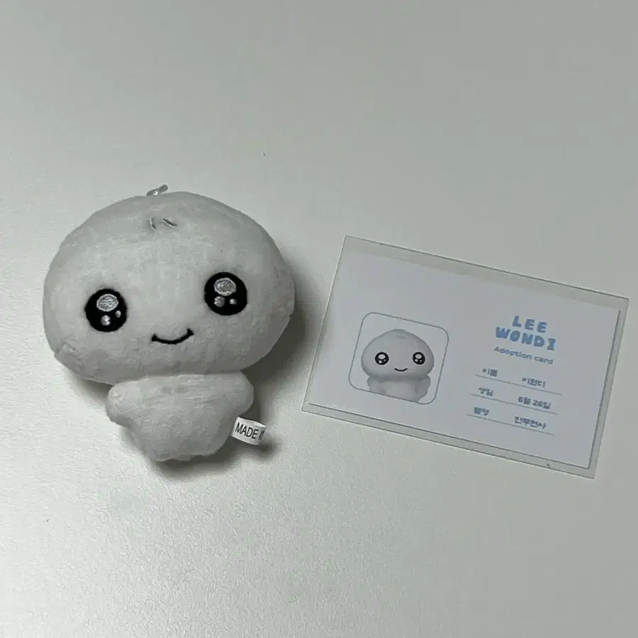 아일릿 원희 인형 이원디