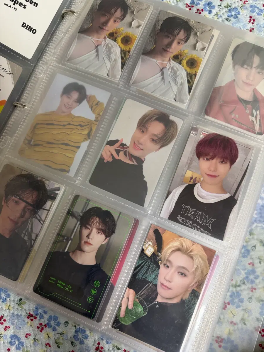 세븐틴 디노 특전포카 280장이상 일괄판매
