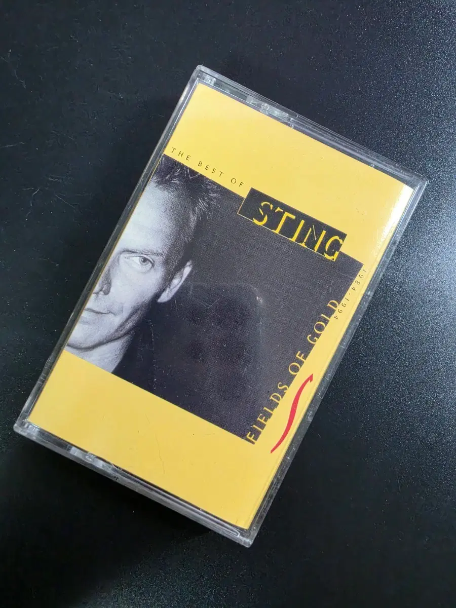 DK) Sting (스팅) - Fields Of Gold: The Best Of Sting 카세트테이프