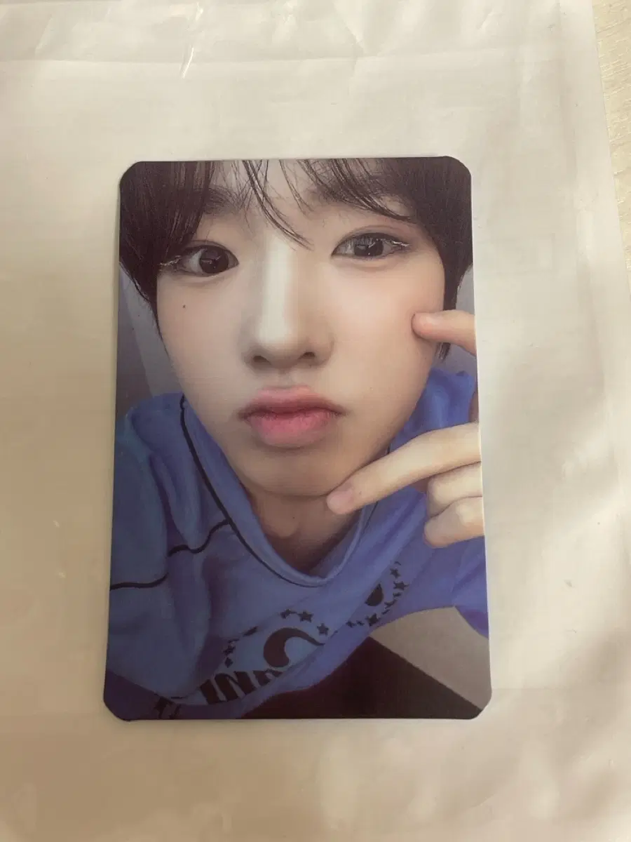 엔시티 위시 팝팝 사쿠야 포카