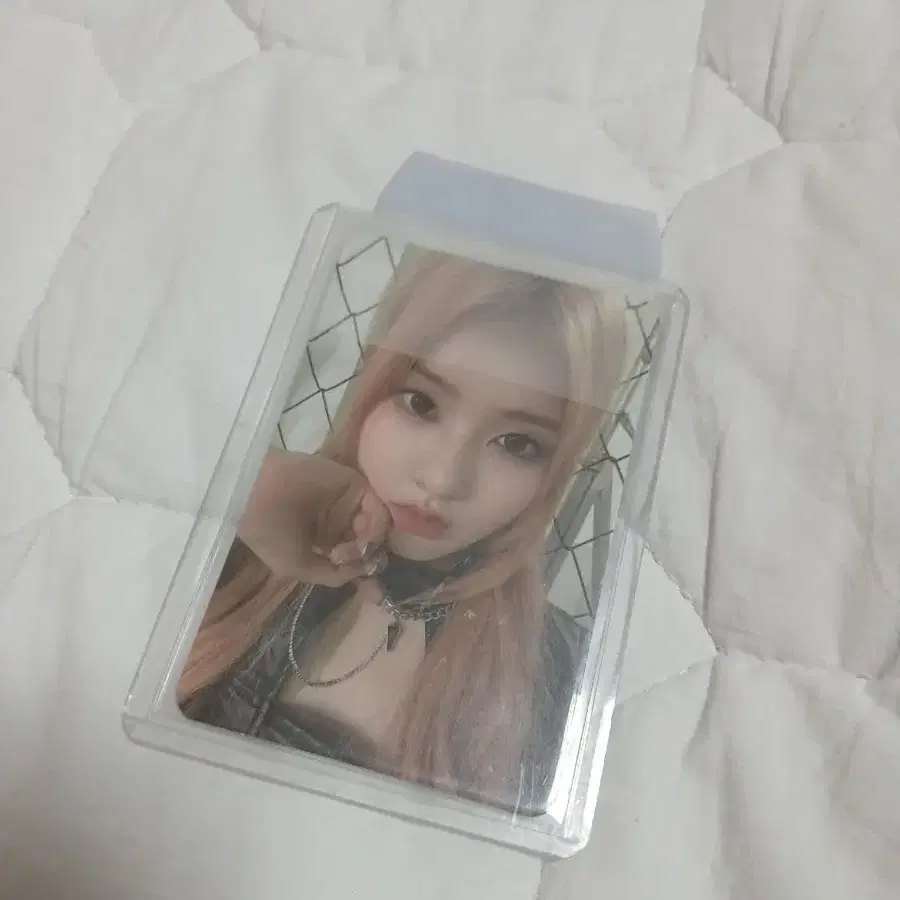 스테이씨 시은 포카