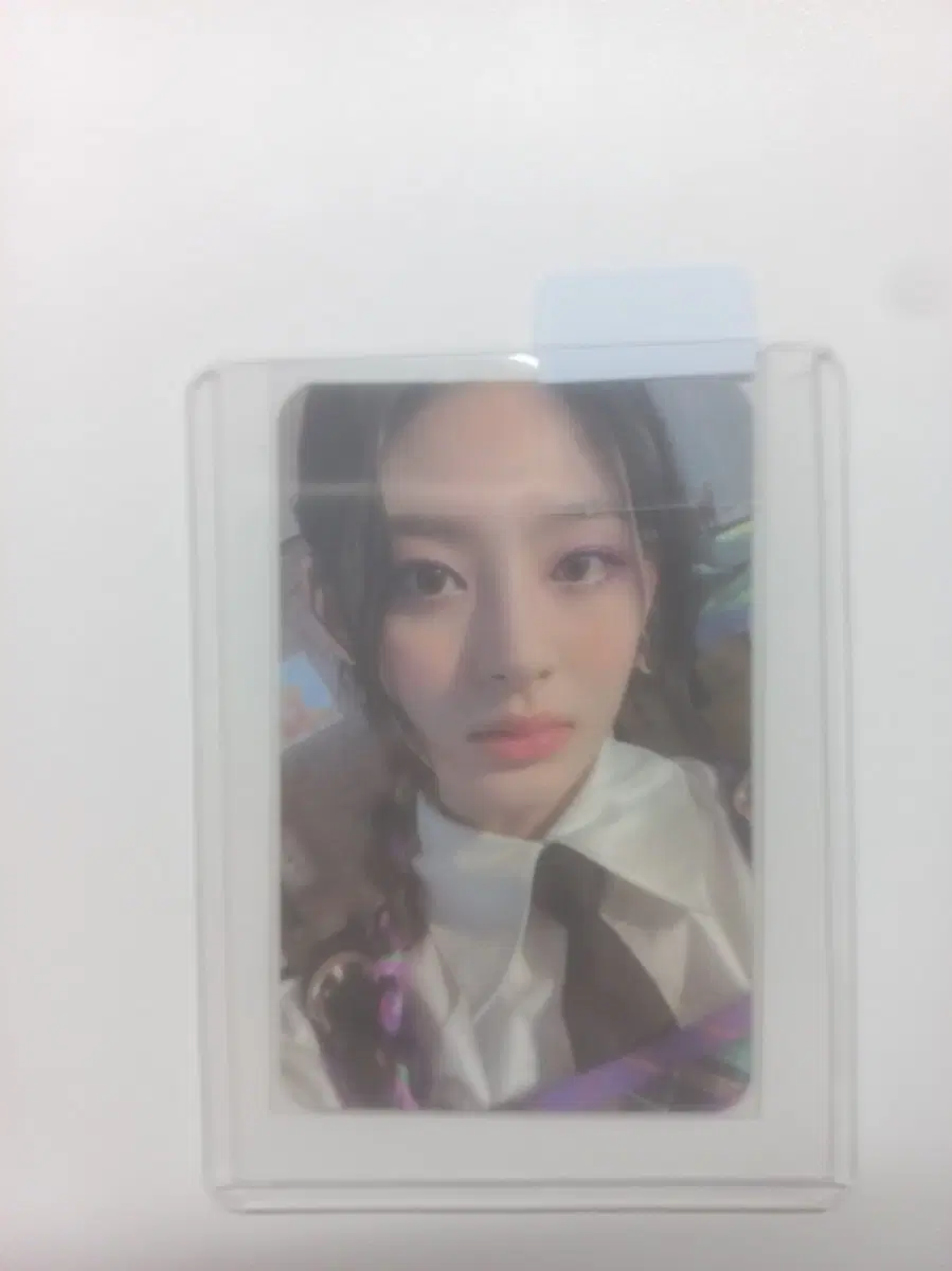 스테이시 세은 포카