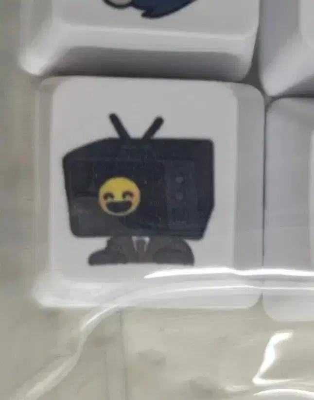 (교환) 괴담출근 괴출 키캡 브라운 + 이성해 > 포도