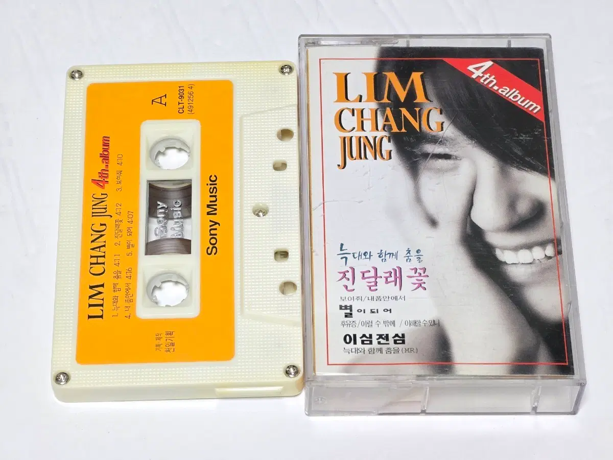 임창정 4집 - 늑대와 함께 춤을 / 진달래꽃 (소니뮤직)