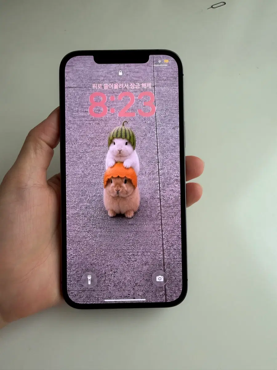 아이폰