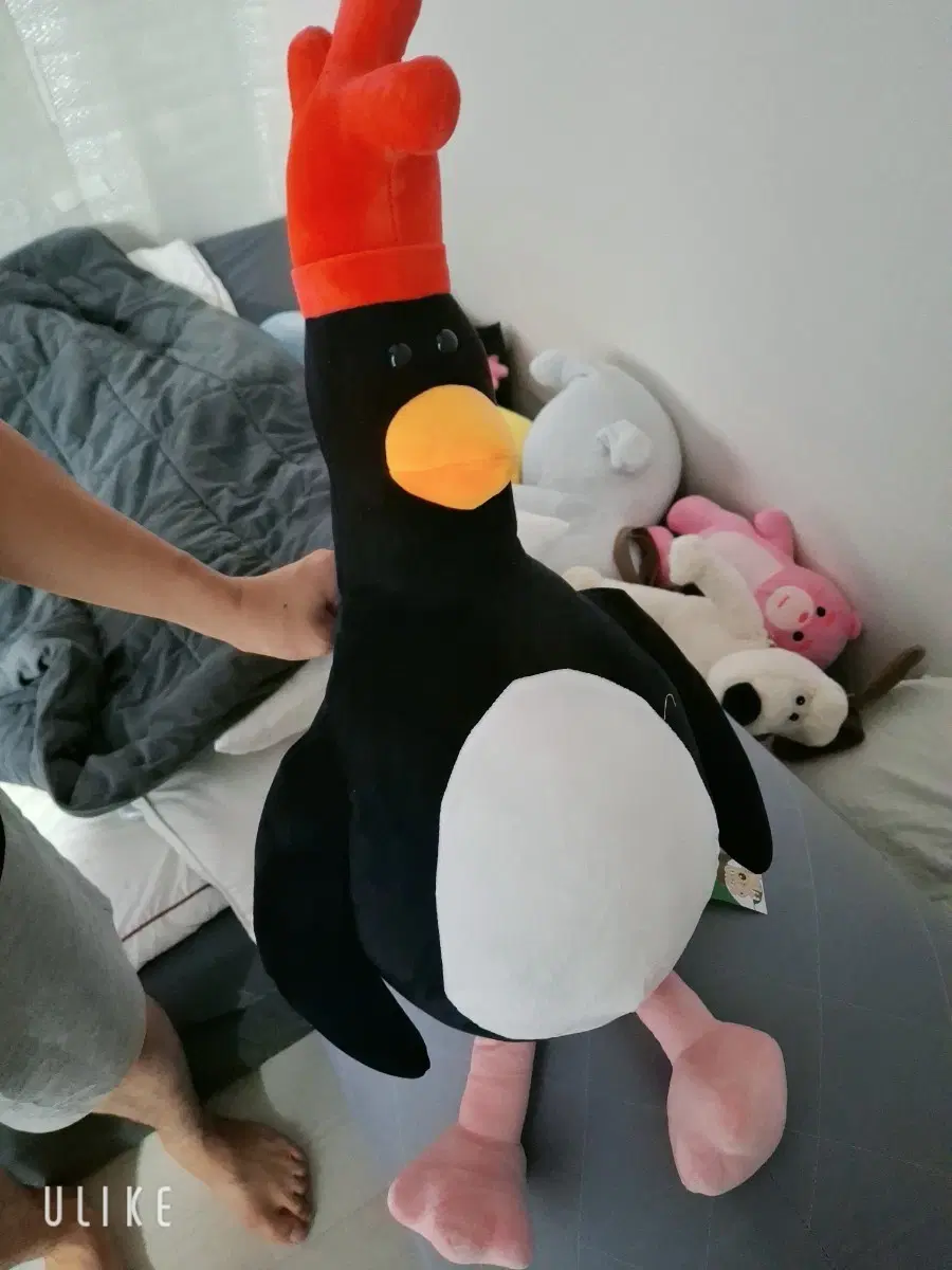 펭귄 인형 대형 오렌지 모자 솜인형
