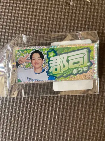 군지 유야 키링