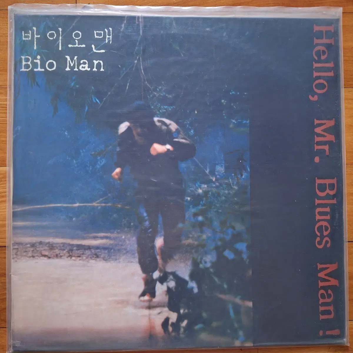미개봉/이경우(블루스맨) 바이오맨 조갑경 유혹 LP