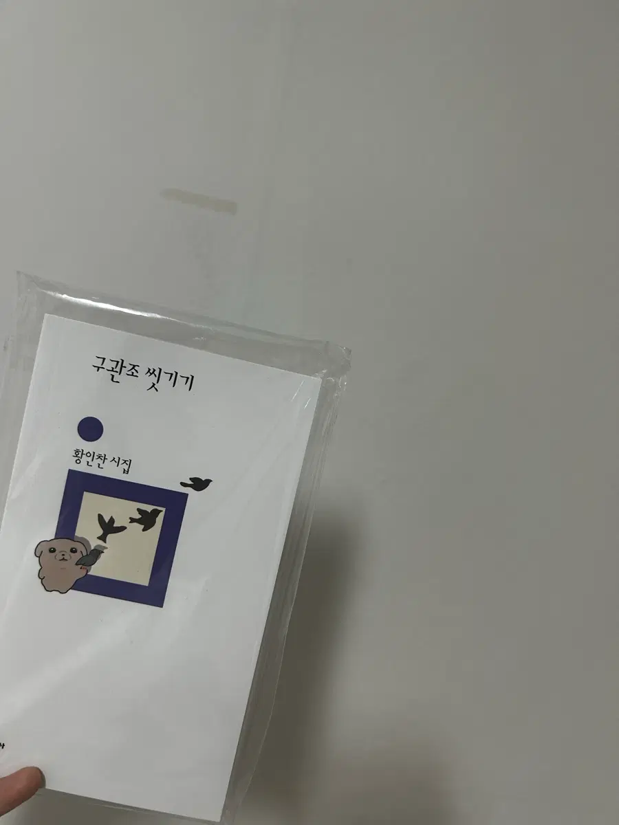 서국도 민음사 무지노트 (구관조 씻기기)