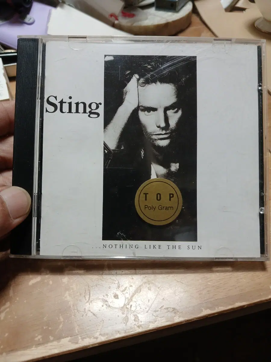 sting NOTHING LIKE THE SUN