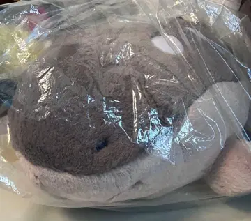 두오리 포근포근 안고 다니는 인형 포켓몬