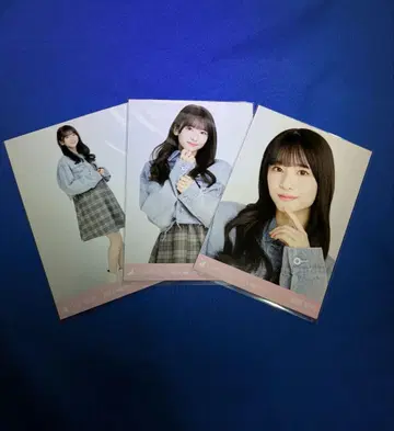 노기자카46 스가와라 사츠키 데님 자켓 컴프
