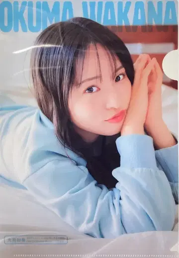 월간 드래곤 에이지 2025년 11월호 부록 오오쿠마 와카나 클리어 파일 2511
