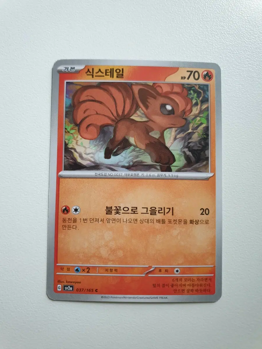식스테일 포켓몬카드