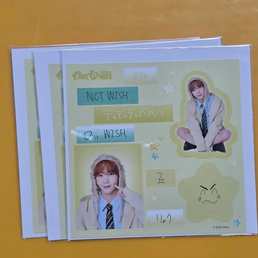 NCT WISH 엔시티위시 료 일본투어 콘서트 랜덤토이 굿즈 스티커 양도 RYO