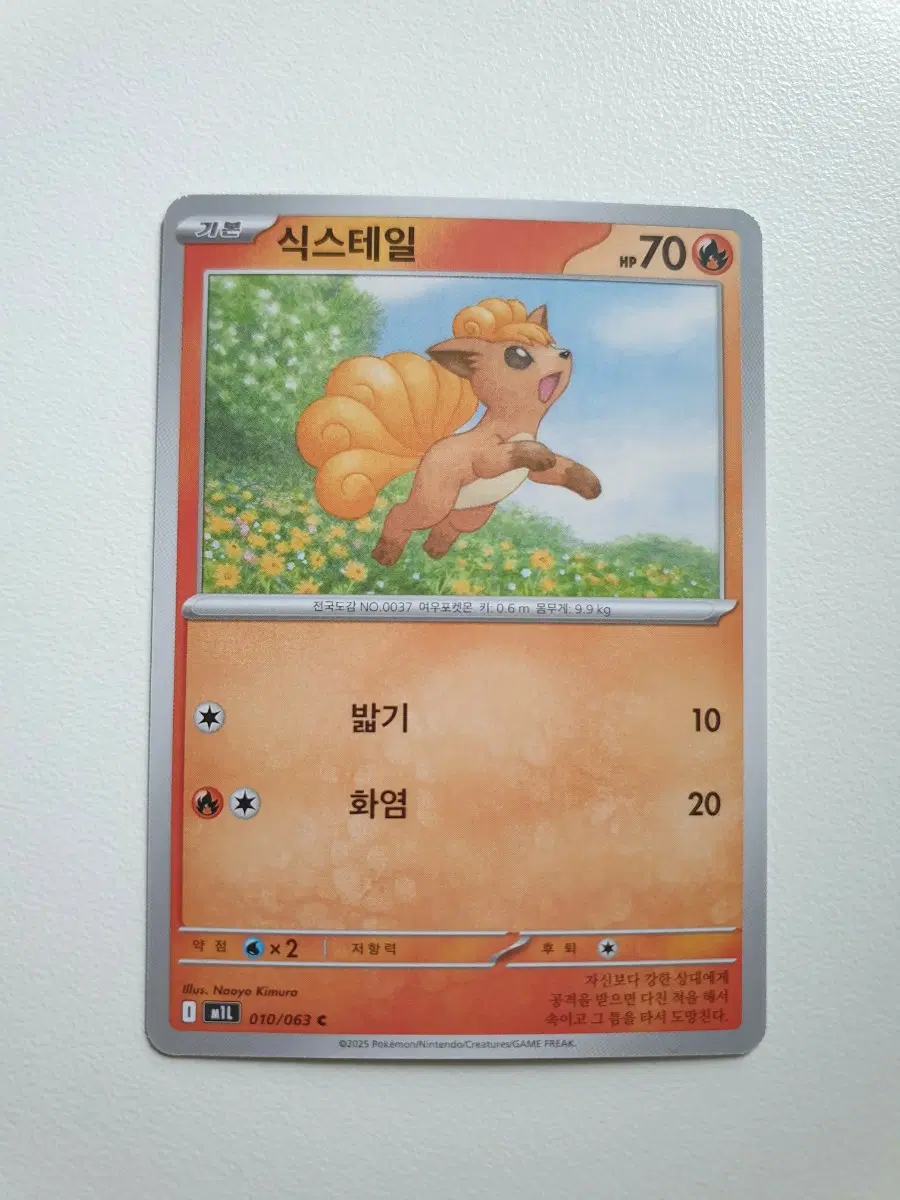 식스테일 포켓몬카드