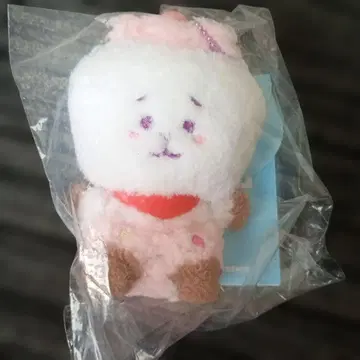 BTS bt21 봉제 인형 키링 (ON THE CLOUD) RJ