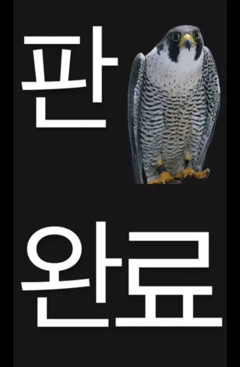 노바텍 88 교신 판매 개급처 csc보다 쌈