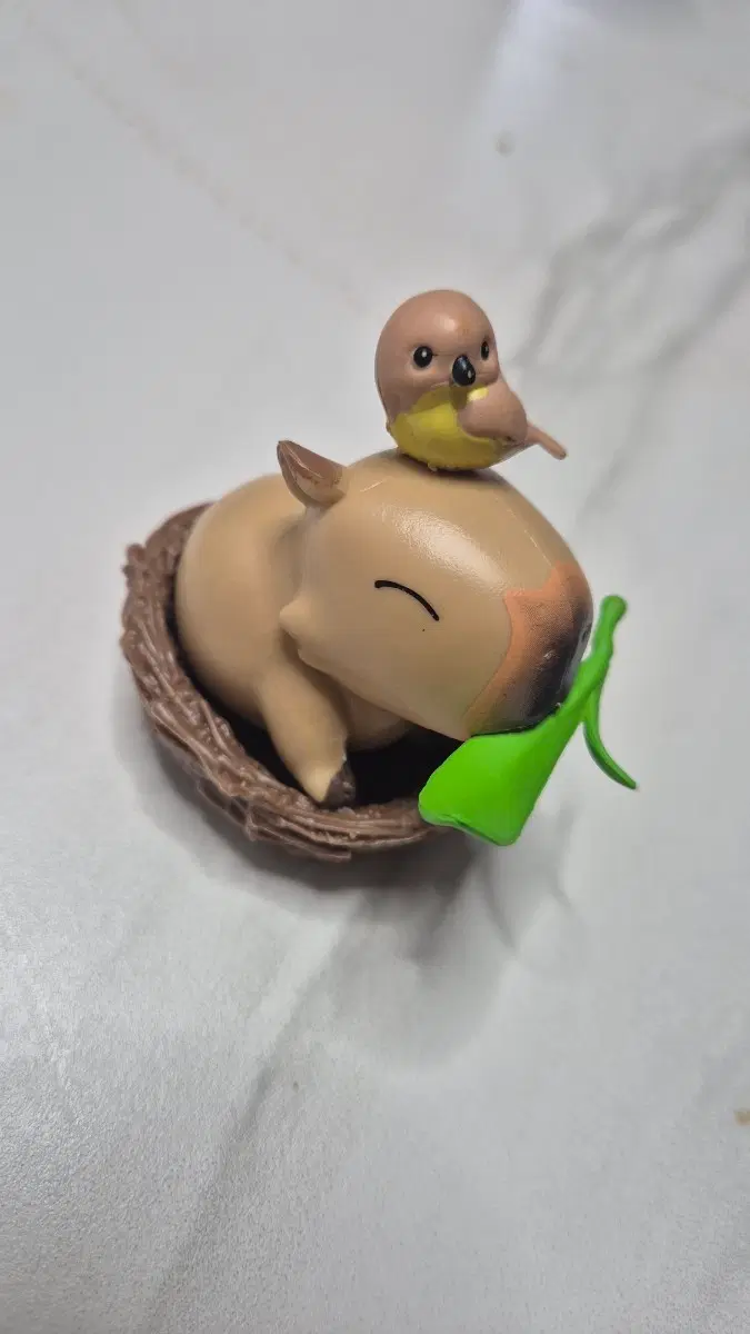 카피바라 새 둥지 피규어
