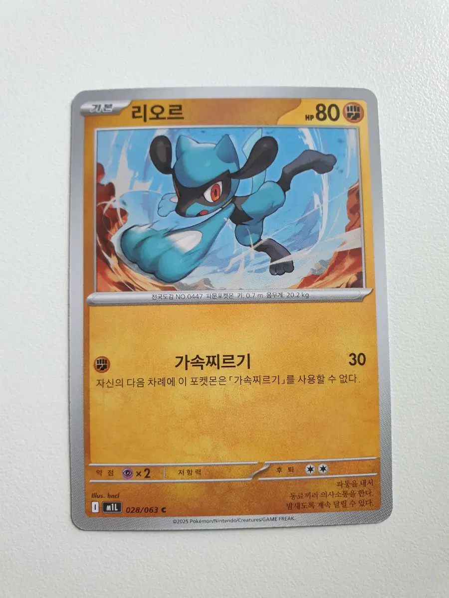 리오르 포켓몬카드