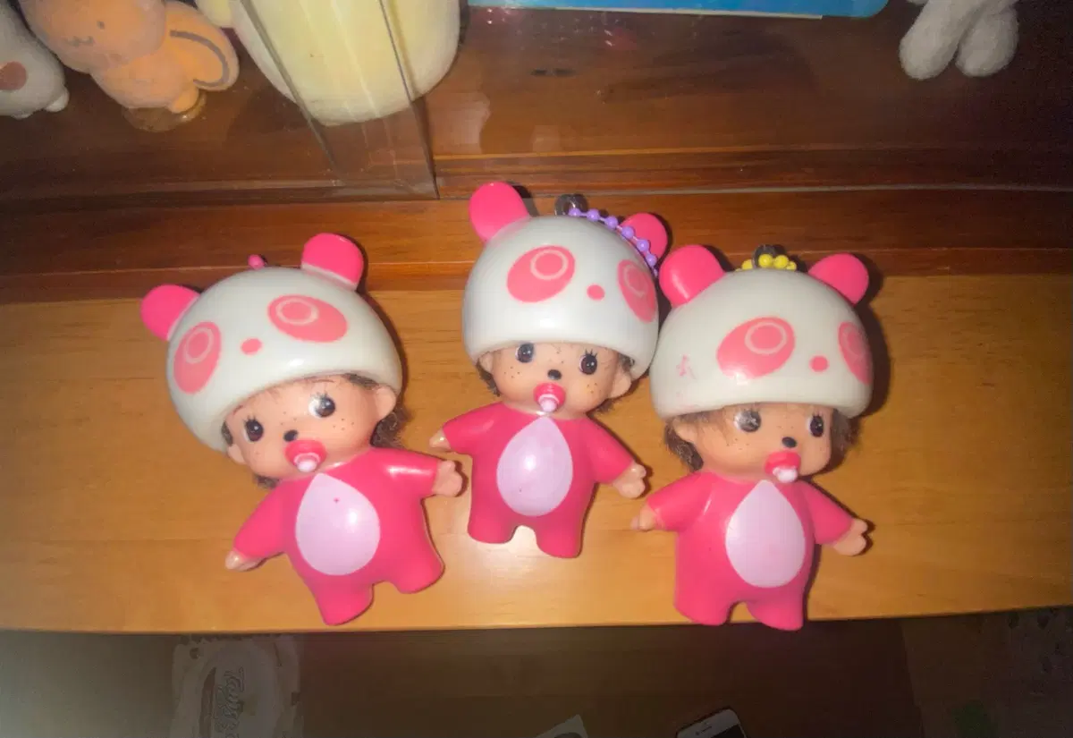 몬치치 3마리 입양하실 분