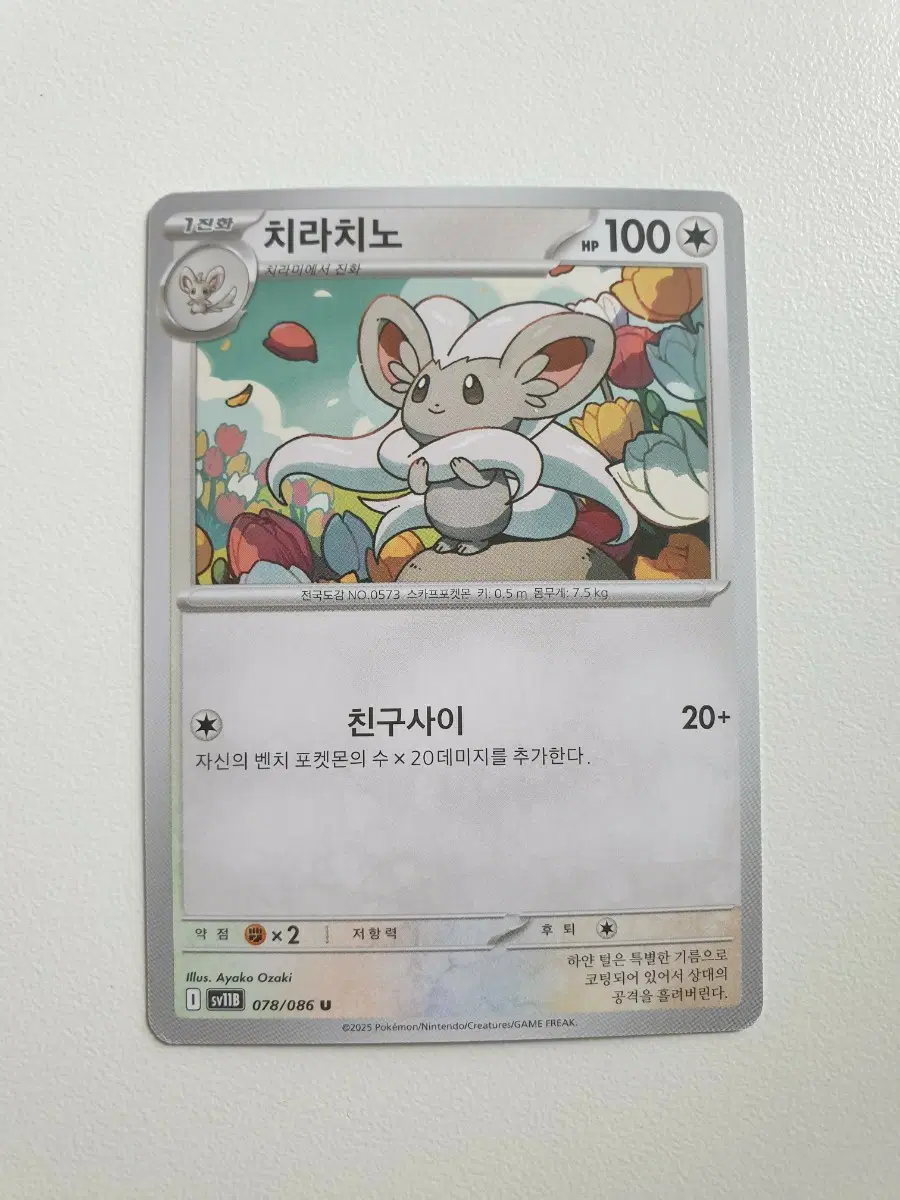 치라치노 포켓몬카드