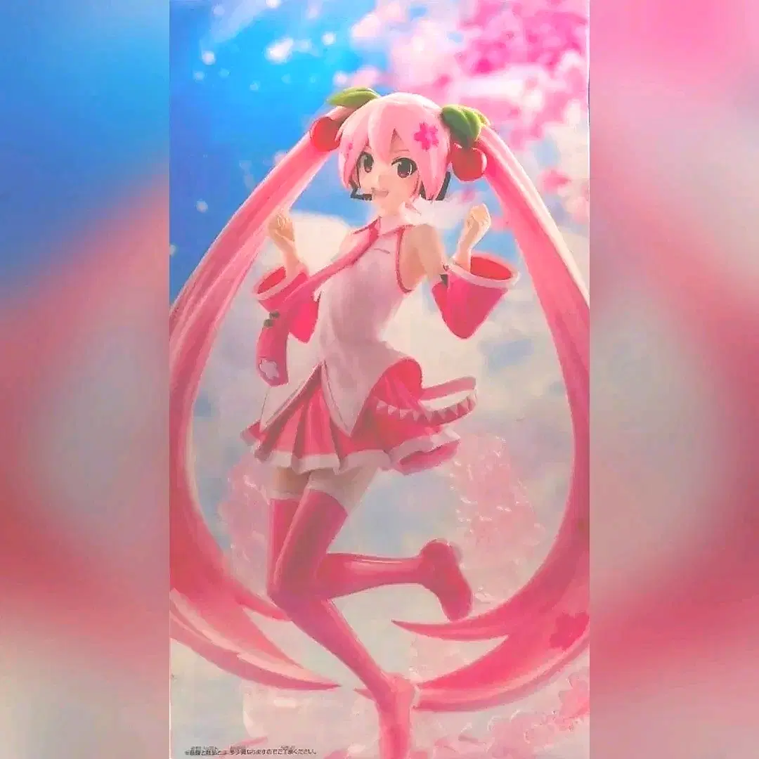 [미개봉] 사쿠라 미쿠 BANPRESTO EVOLVE 피규어 (반프레스토 정품)
