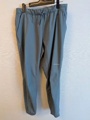 Patagonia 파타고니아 남성용 텔본느 조거