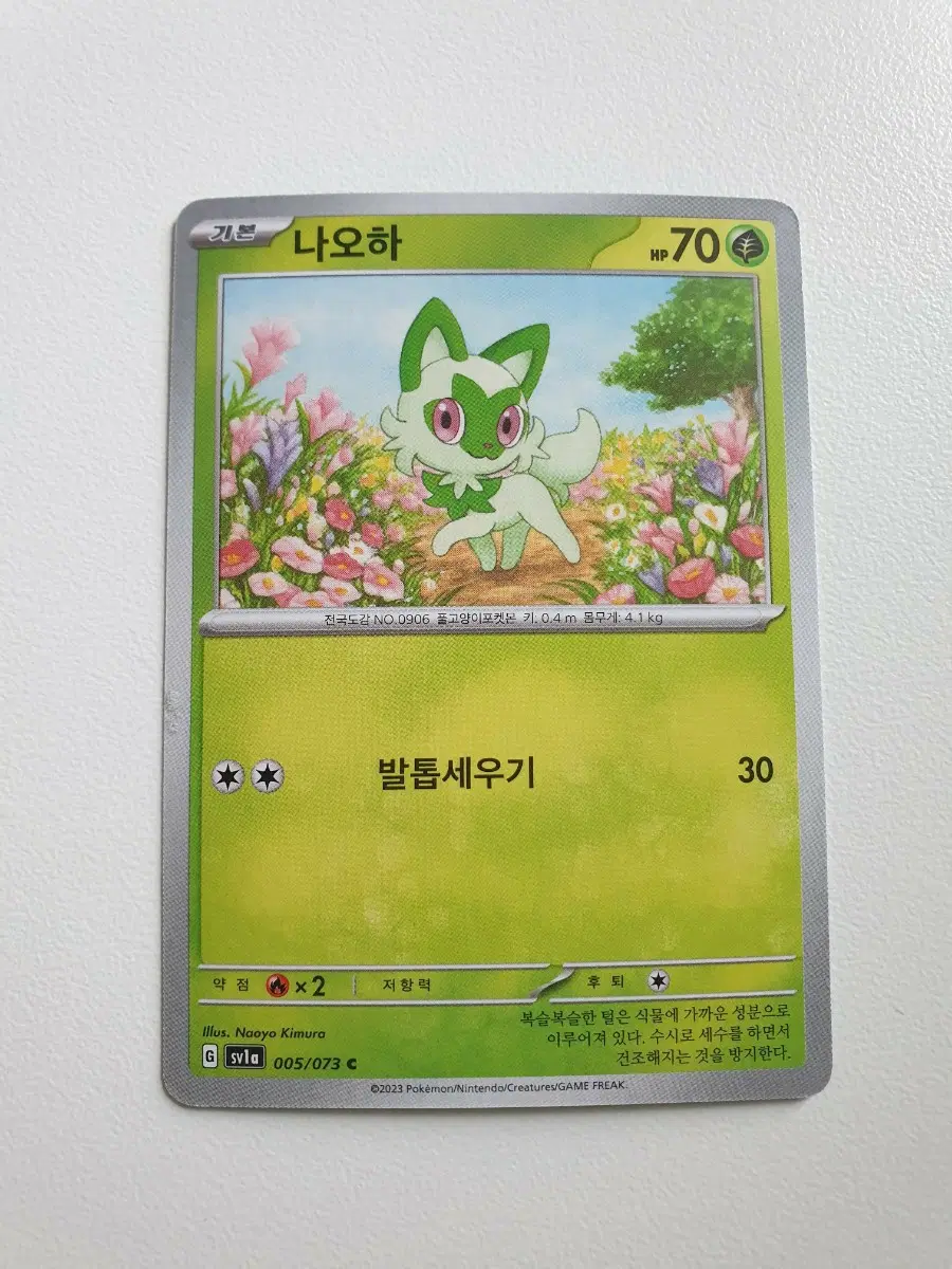 나오하 포켓몬카드
