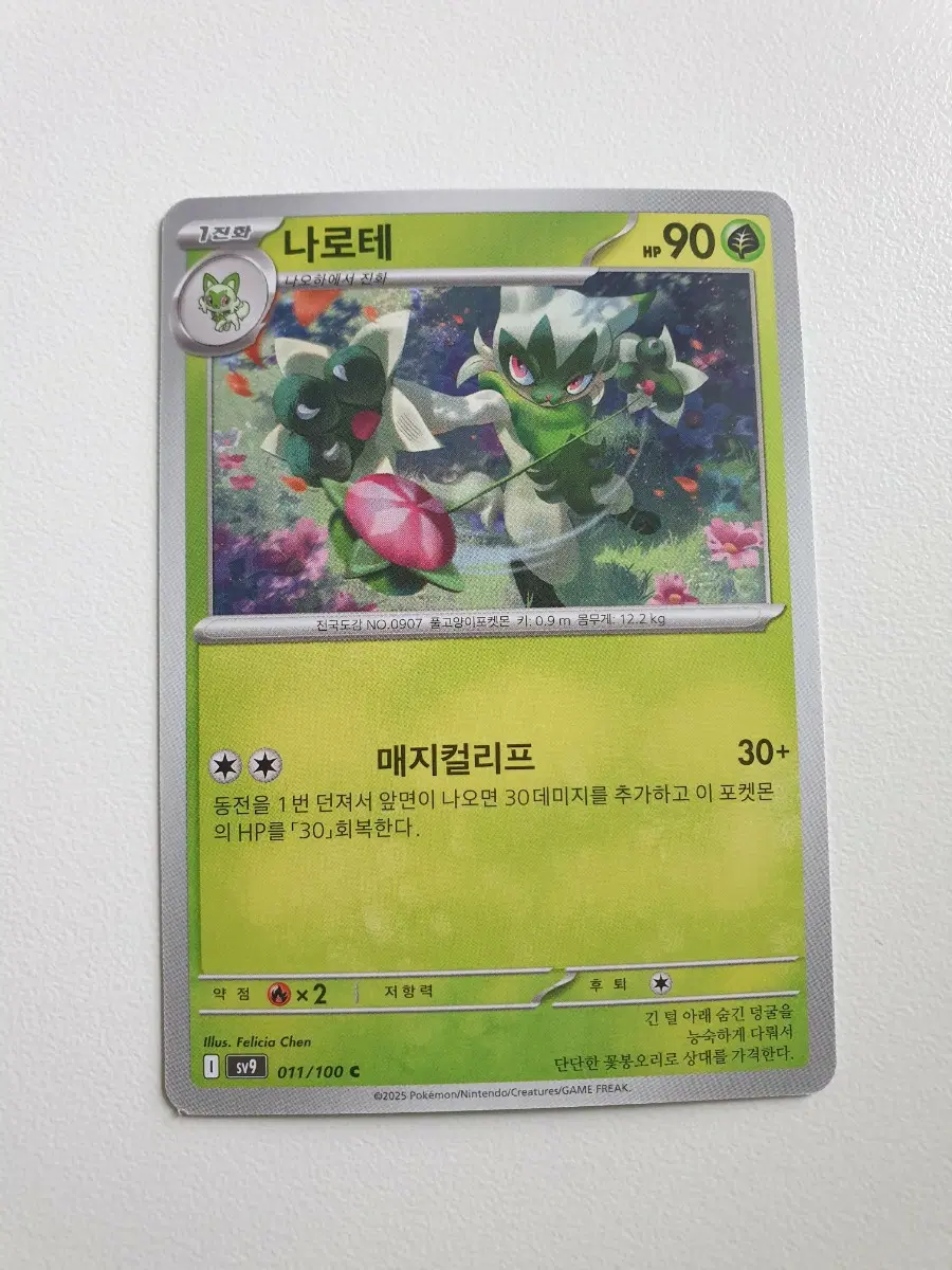 나로테 포켓몬카드