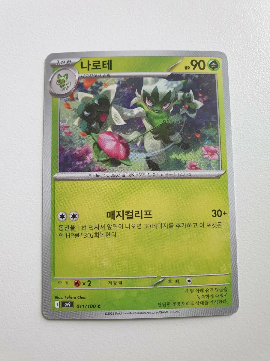 나로테 포켓몬카드