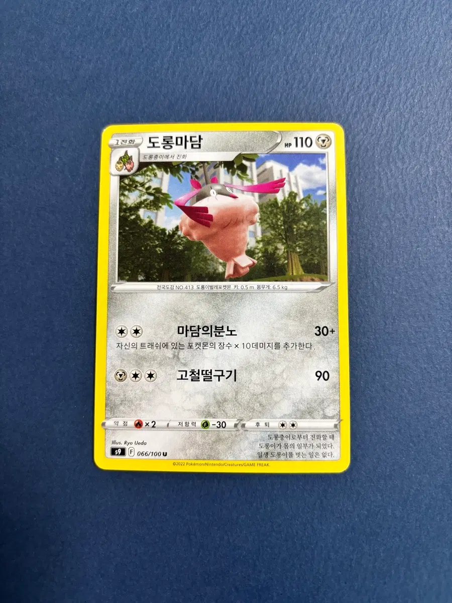 포켓몬카드 도롱마담 일반카드 도감용 덱소스 s9 066/100
