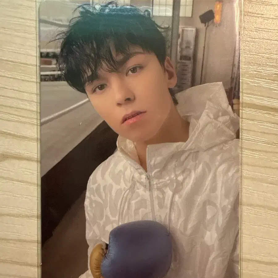 [FML] Seventeen 버논 포카