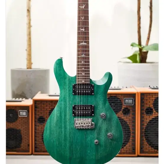 PRs se ce 24 standard satin 일렉기타