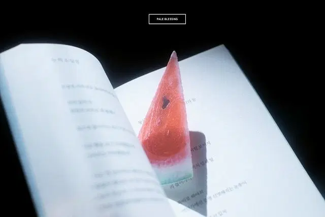이옥토 책갈피 수박책갈피 이옥토작가님