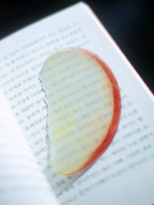 이옥토 사과 책갈피 이옥토작가 북마크