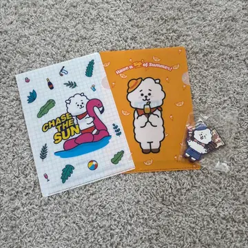 BT21 RJ 클리어 파일 참 3세트