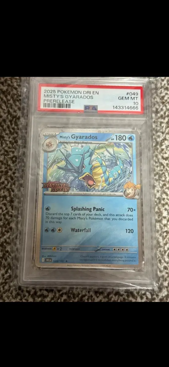 포켓몬 TCG 갸라도스 R 데스티니드 라이벌스 (영문판) psa10