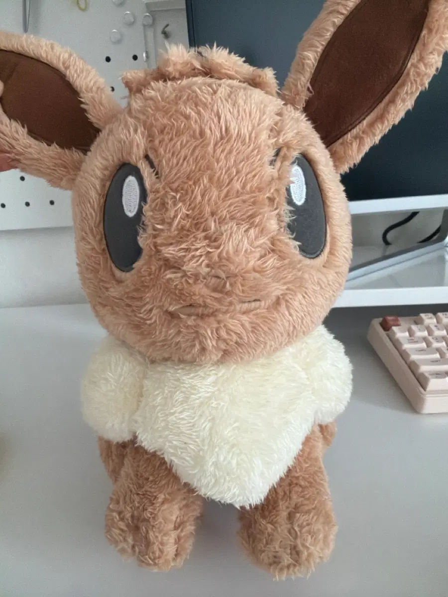 포켓몬 이브이 반프레스토 인형