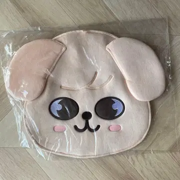 스키즈 부채 케이스 승민 파피무 PuppyM