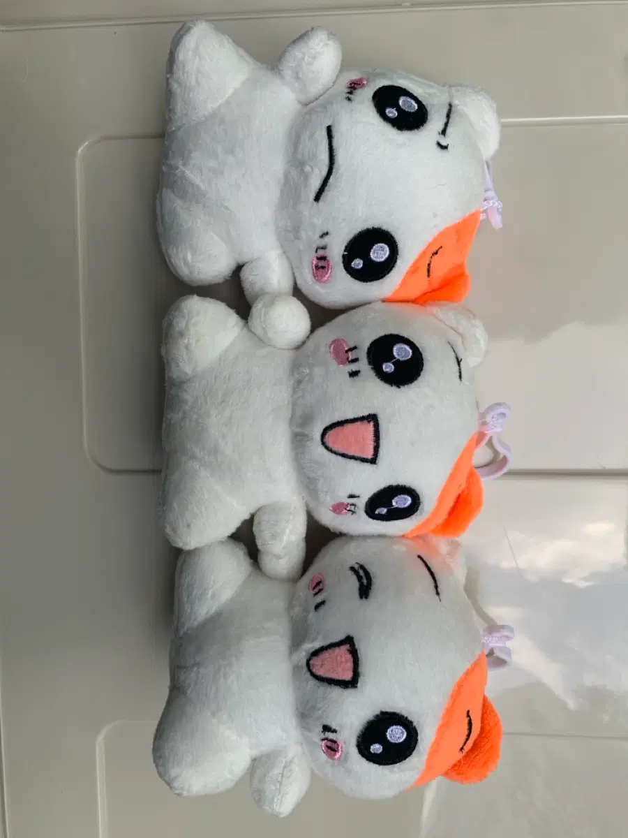귀여운 에비츄